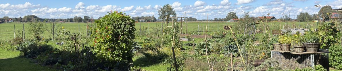 Gemeinschaftsgarten Übersee am Chiemsee